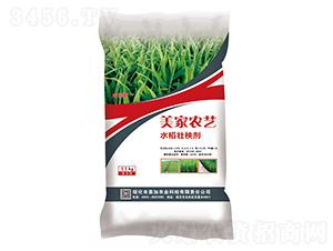 11kgˮ�����턩-�����rˇ-�w���r�I