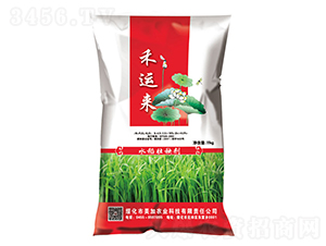 11kgˮ�����턩-���\��-�w���r�I