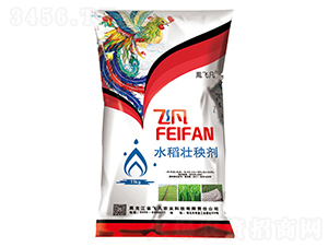 ˮ�����턩-�w��-�w���r�I