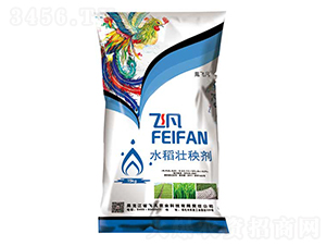 15kgˮ�����턩-�w��-�w���r�I