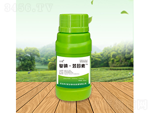 ȫ����c���|̦��-��Ԫ��