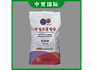 ���������{�턩