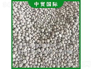 �����{�턩���w����