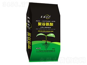 �۹Ȱ������������ޏ̈́�-�R���S�a