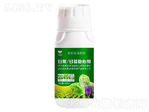 �ײˡ����{���Ą�-�֠���