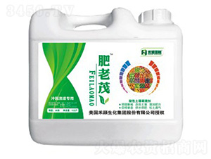 ���������{�턩-����ï-�̷f����