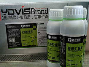 ���砀���`-�̷f����