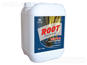 �����׸�-������