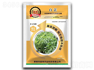 ���Ƃ��ο�����ó��݄�-����