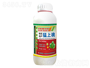 �޻������{����-�޻��߮a������-�����r��