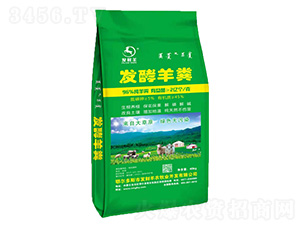 �l����S-�lؔ��