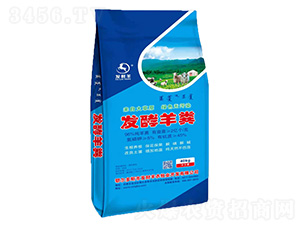 �l����S���{��-�lؔ��