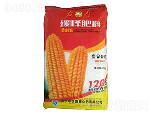 ��ጷ���-������-���r����