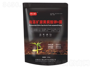 ����VԴ�S�����+��-�r֮ϲ