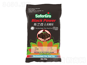 ���m�������ޏ̈́�-�՝�����