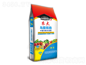 �����{�턩ϵ��-�����}��-�r�����B