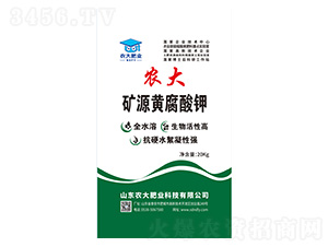 �VԴ�S�����-�r�����B