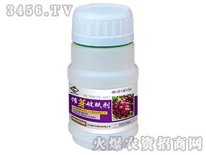 ��ѿ���߄�-�����S�r-���r����