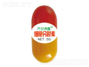 5g����������-��������