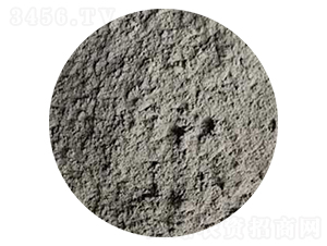 �����{�횢���������۠�-˹����