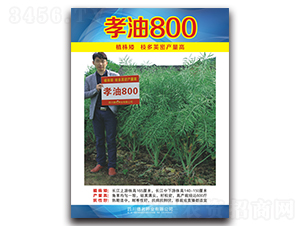 Т��800-�Ͳ˷N��-�����N�I(y��)