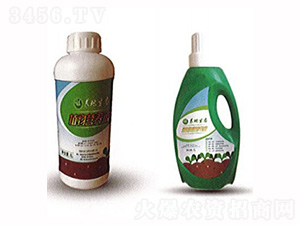 ֲ��I(y��ng)�B(y��ng)Һ-�B(y��ng)�����B(t��i)