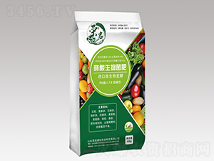 �����������-�s�����o