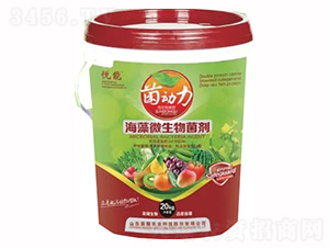 ����΢�������-�sҫ�r�I