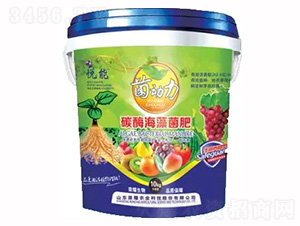 ̼ø�������-�sҫ�r�I