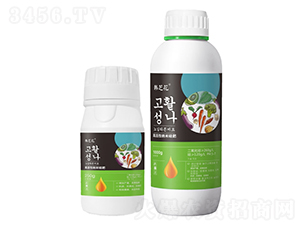 高活性納米硅肥-韓芝花-曼奧雷盾