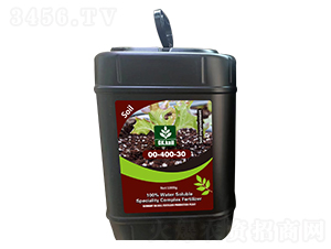 ��A�����{�턩-��Ⱥ�r�I