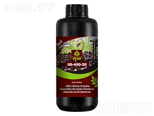 �����µ��{�턩-��Ⱥ�r�I