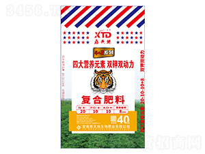 �ͺϷ���20-10-10-8-�����