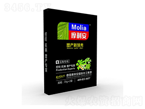 ���ǌ���-Ħ����