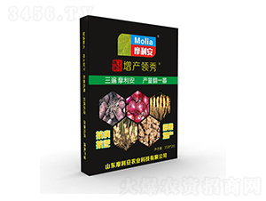 ���K�o���a�I��-Ħ����