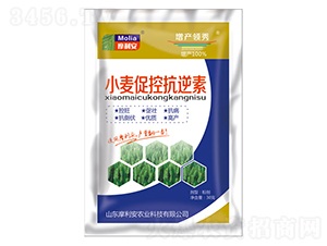 С���ٿؿ�����-Ħ����