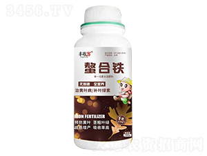 �����F-�S�տ�-���r����