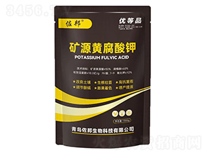 1000g�VԴ�S�����-����