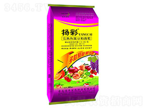 �����~�u���ɾ���-�P��-�Ѻ����r