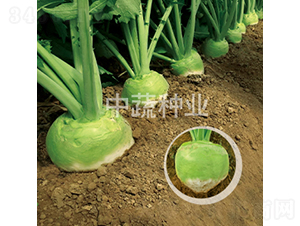 �A��65-�}���N��-���߷N�I