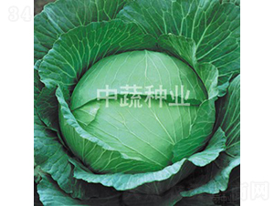 ���Sһ̖���x-���{�N��-���߷N�I