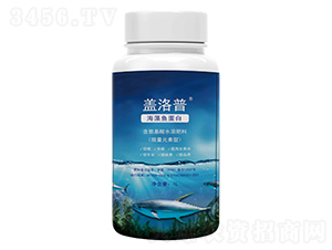 �����~����-�w����-�κ��r�I