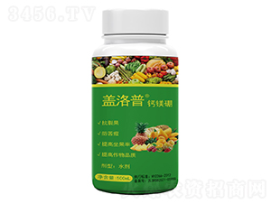 �w���ա��}�V��-�κ��r�I