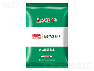 益農玉19-玉米種子-益農種業