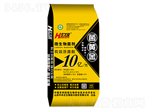 ���S��-�A̫¡-���r������