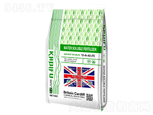 Ӣ��UK-Cardiff���î�3̖ˮ�ܷ���12-6-42+TE-���Ϸ� 