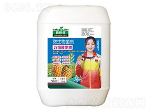 �f�����}��΢�������-��ڱ�