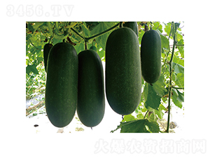 С�ƶ���-���ϷN��-�V��