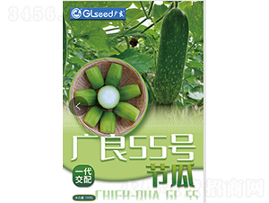 �V��55̖����-���ϷN��-�V��