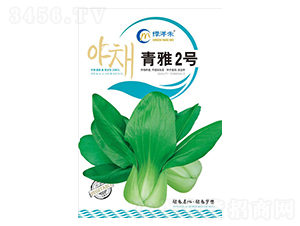 ����2̖-��˷N��-�G���